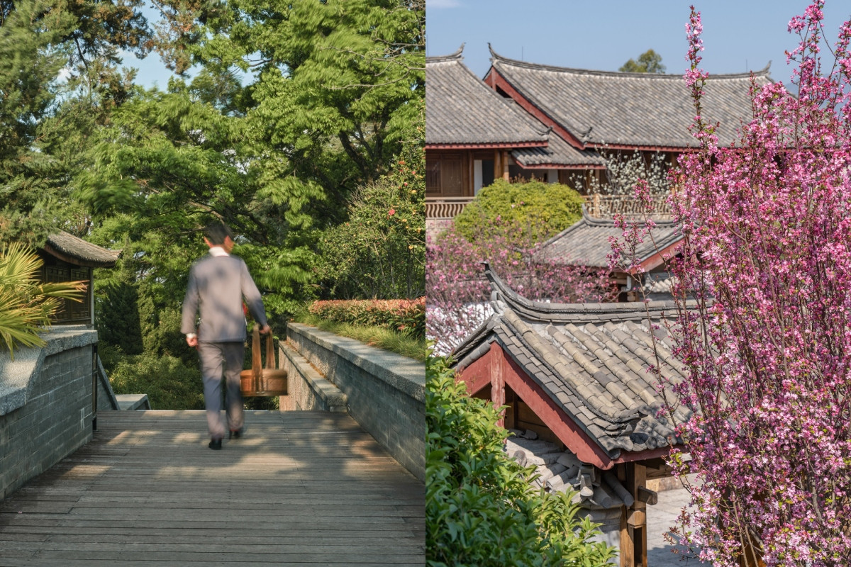 （圖片提供：Aman）