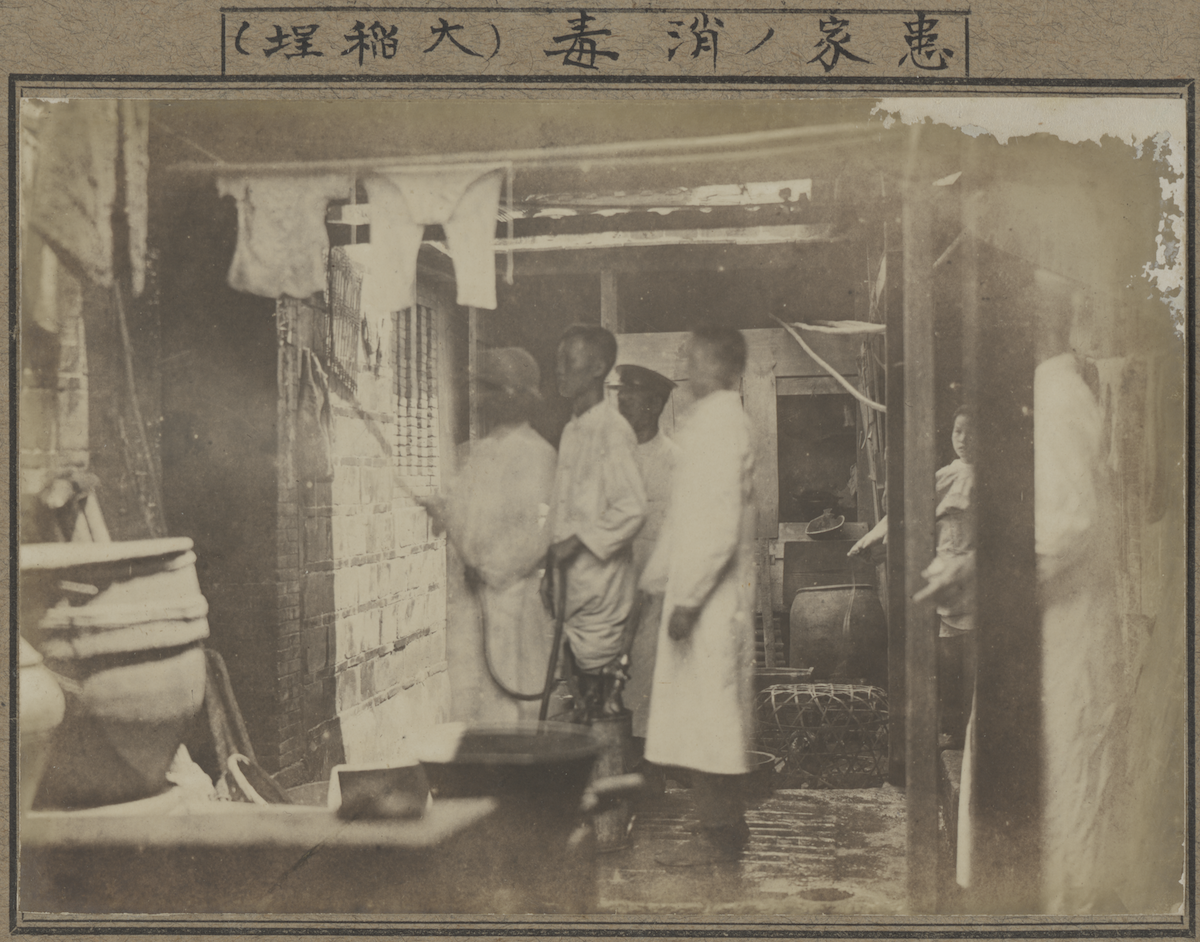 綠美圖中美館《熱暑人》夏季特展，3國聯合呈獻「熱文化」的多元面向