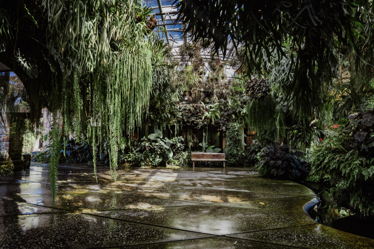 苗栗「黎森」山林秘境餐廳！坐落櫟莊園美術館綠意間，香色邱一中主廚掌勺
