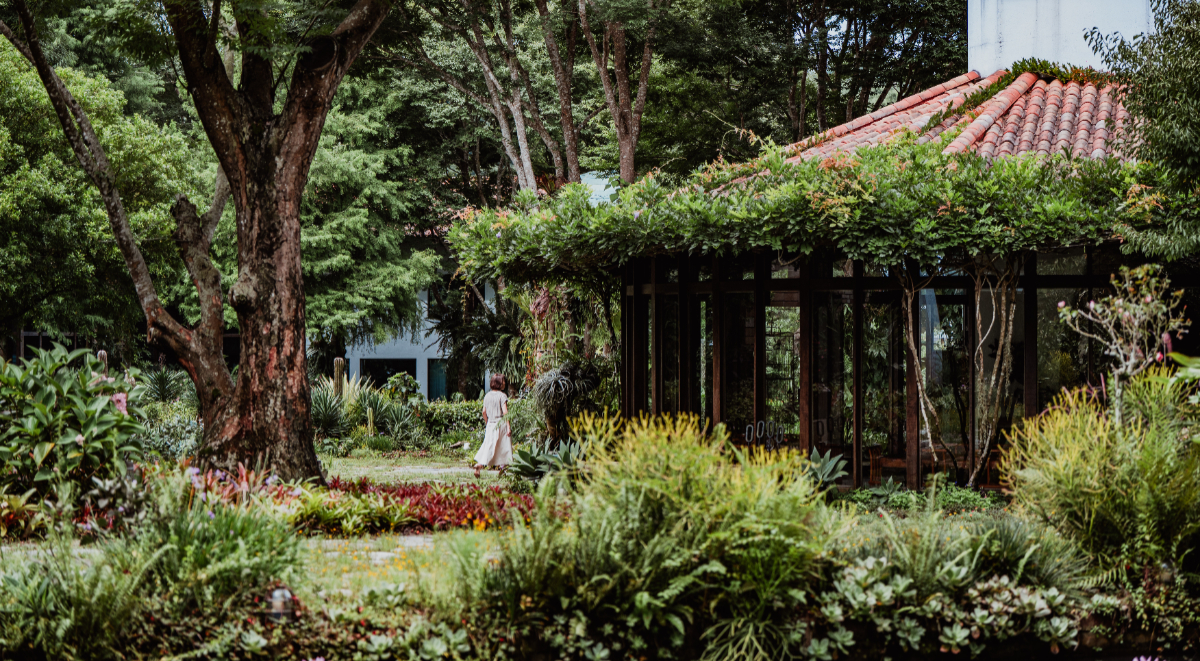 苗栗「黎森」山林秘境餐廳！坐落櫟莊園美術館綠意間，香色邱一中主廚掌勺