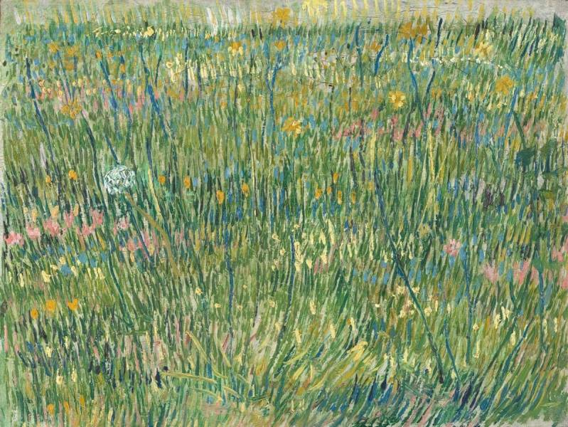 Patch of Grass, April-June 1887（圖片來源：Kröller-Müller Museum）