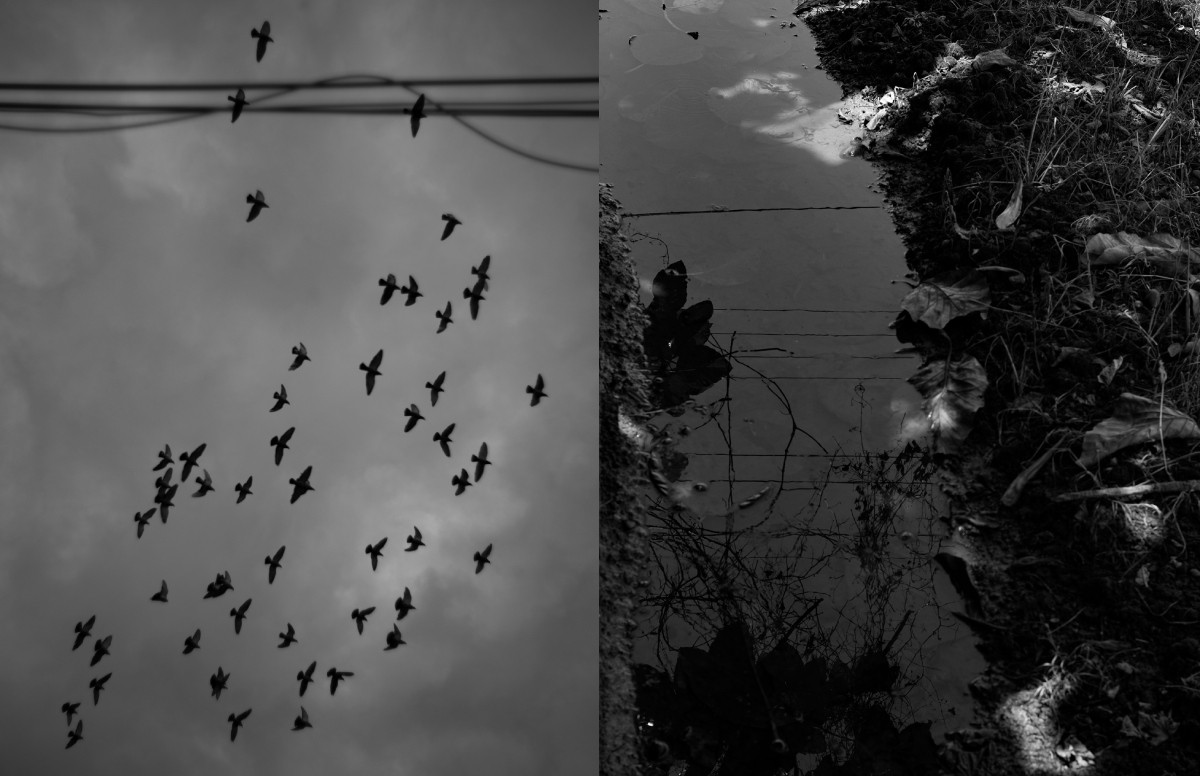 陳詠華攝影作品《如耳語般經過（Passing Like a Whisper）》、《沉澱之夢（Sedimented Dreams）》。（圖片提供：徠卡）