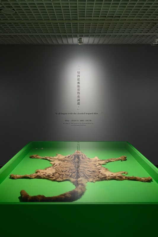 雲豹皮，年代不詳（圖片提供：北師美術館，攝影：王世邦 Anpis Wang）