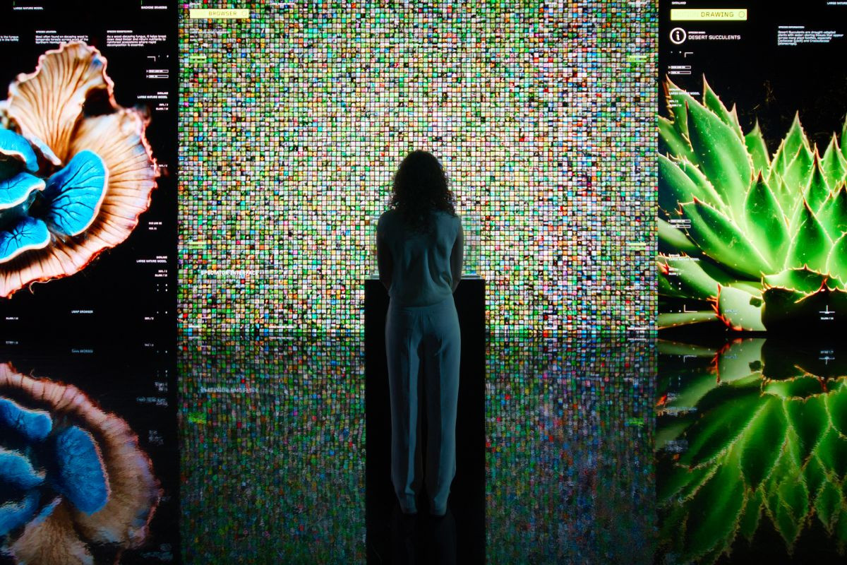 Gallery B - Latent Gallery（圖片提供：Dataland）
