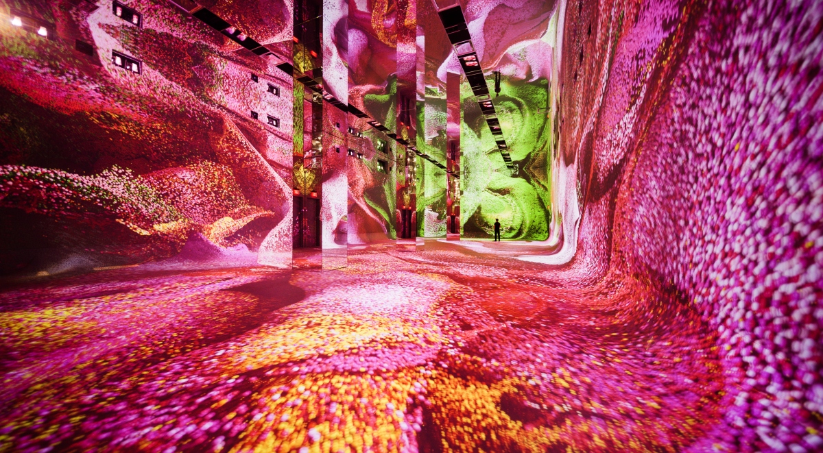 全球首座AI藝術館DATALAND洛杉磯開幕！首展《Machine Dreams: Rainforest》帶你體驗大自然與人工智慧的融合美學