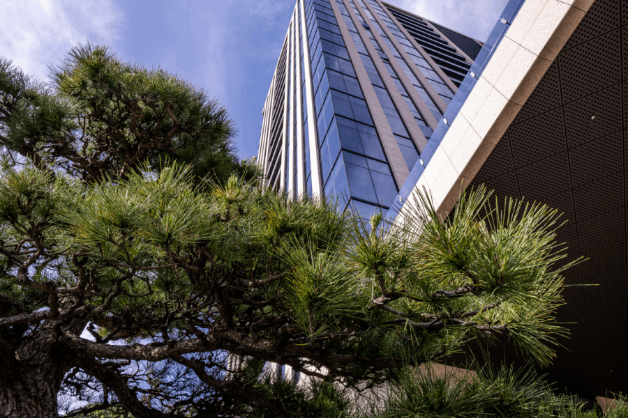 中悦建設