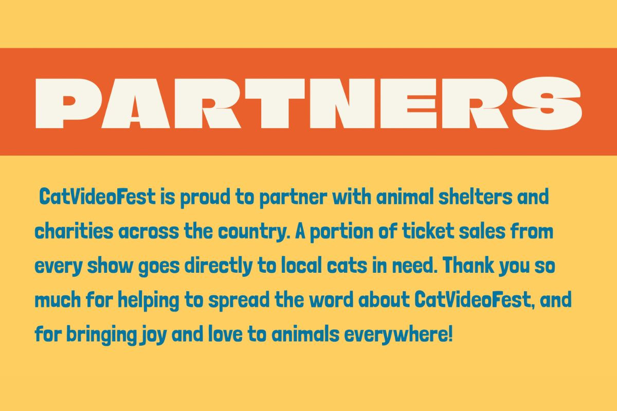 CatVideoFest 每場放映活動的門票收入中，都有一部分將直接用於幫助當地有需要的貓咪。（圖片來源：CatVideoFest）