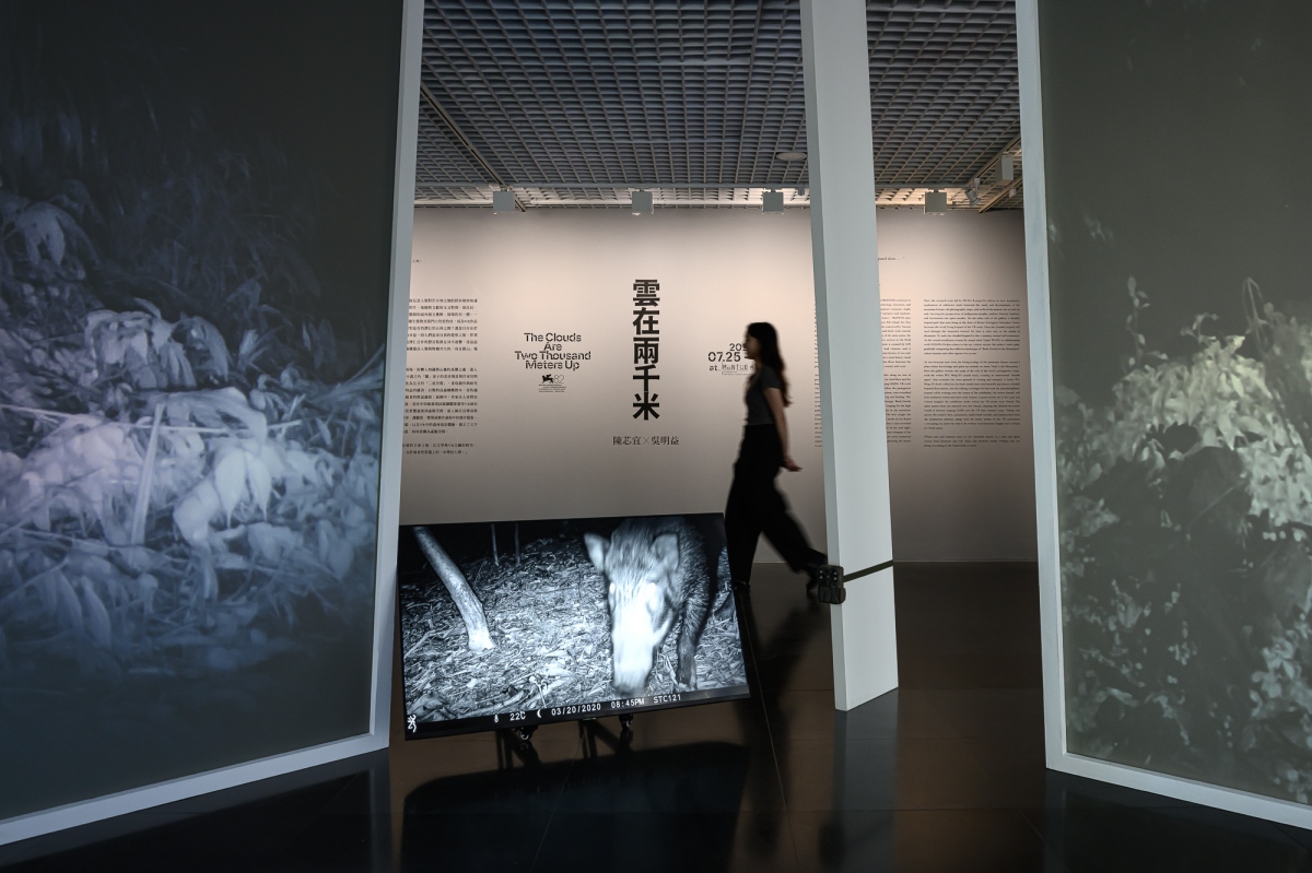 北師美術館將於2026年7月25日至10月11日推出展覽「雲在兩千米」（圖片提供：北師美術館，攝影：王世邦 Anpis Wang）