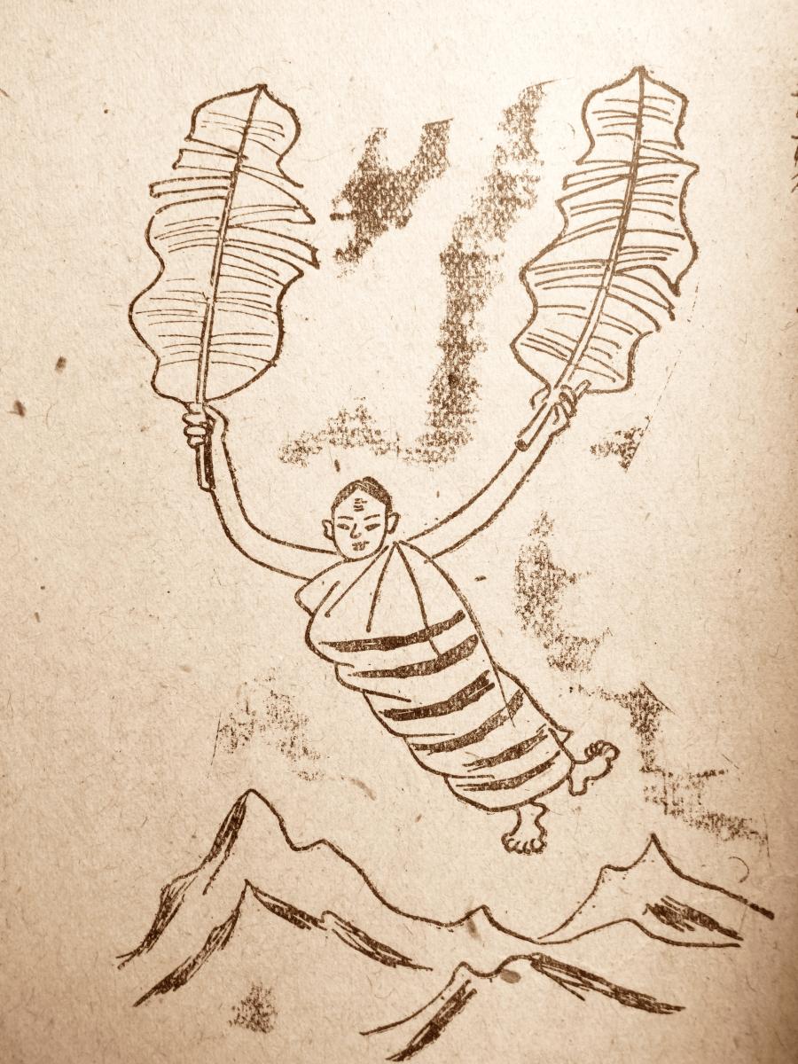 圖片提供：何敬堯