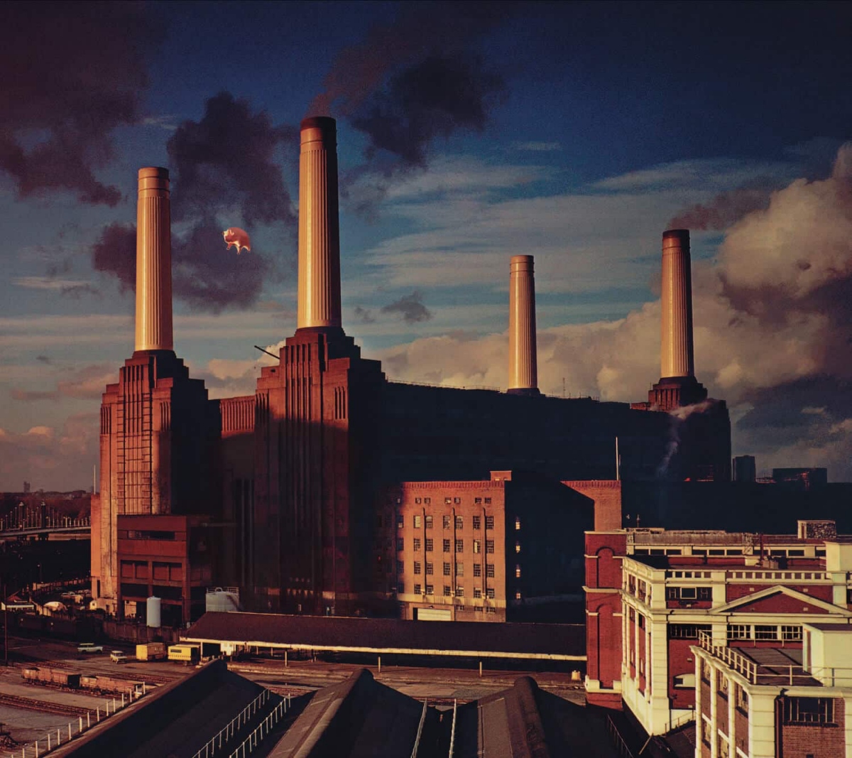 Pink Floyd《Animals》 專輯封面（圖片來源：Pink Floyd官網）