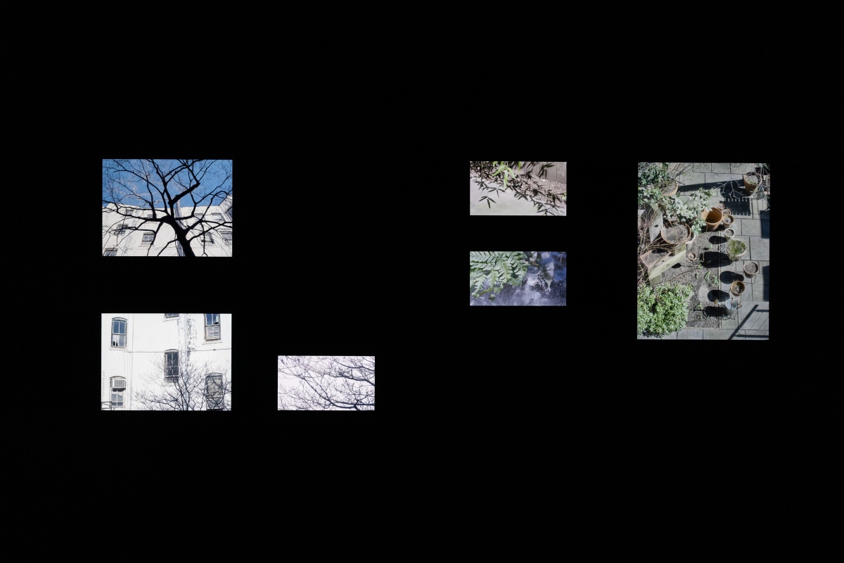 坂本龍一＋Zakkubalan，《async——容積》，2017。「坂本龍一｜觀音．聽時」圖片攝影／提供：臺北市立美術館，2026。© 2026 KAB Inc
