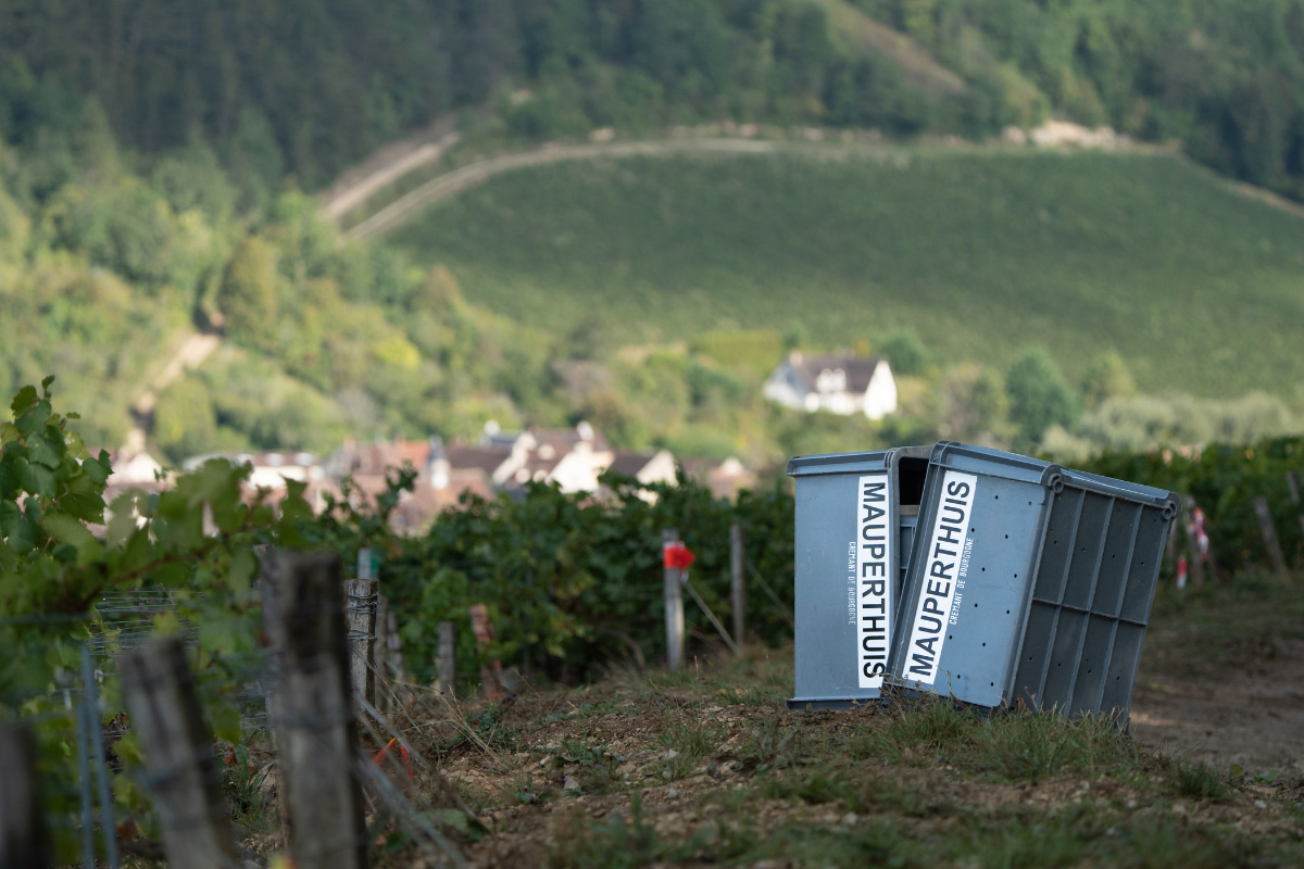 Domaine de Mauperthuis 慕珀緹酒莊。（圖片提供：More/Less）