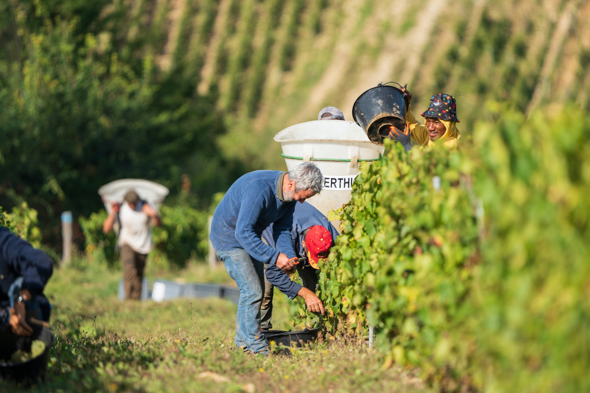 Domaine de Mauperthuis 慕珀緹酒莊。（圖片提供：More/Less）