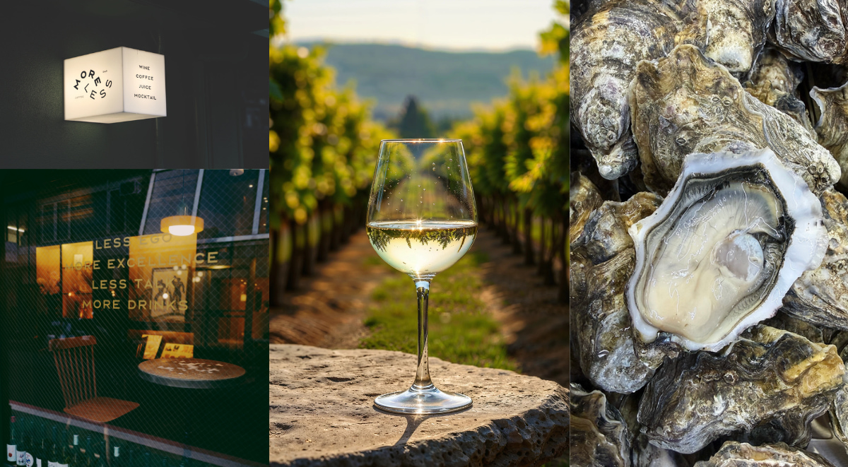 10/17限定！More/Less化身通往一億五千萬年前的海洋入口，在 Chablis 白酒裡遇見生蠔