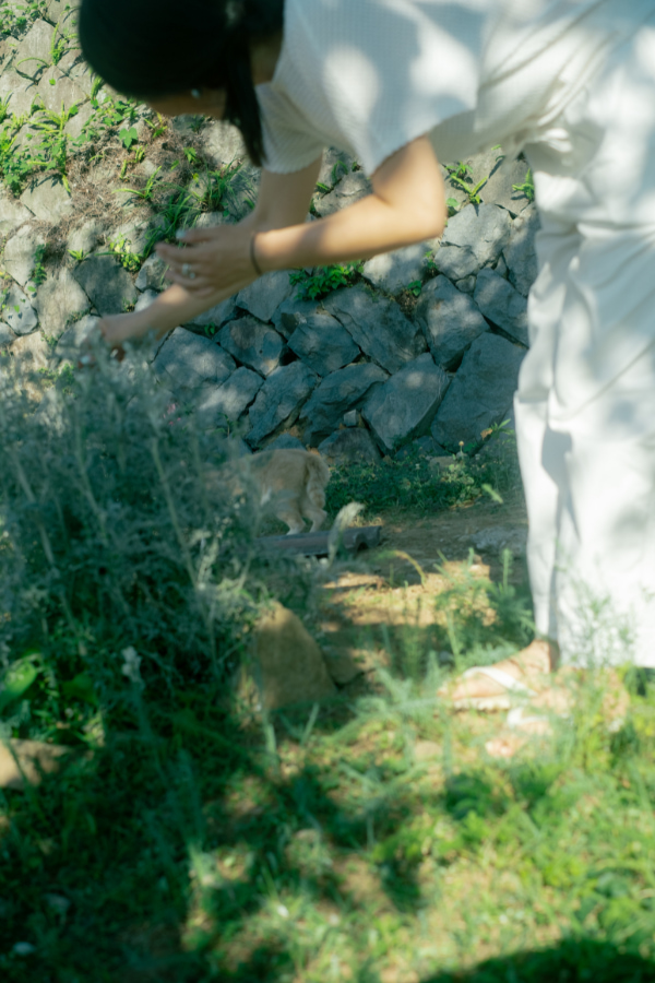 Pop-up 「Immersed in the Garden」，以工作室旁的花園為主題，邀請大家走進 Yenabell 的創作世界。（圖片提供：Yenabell ）
