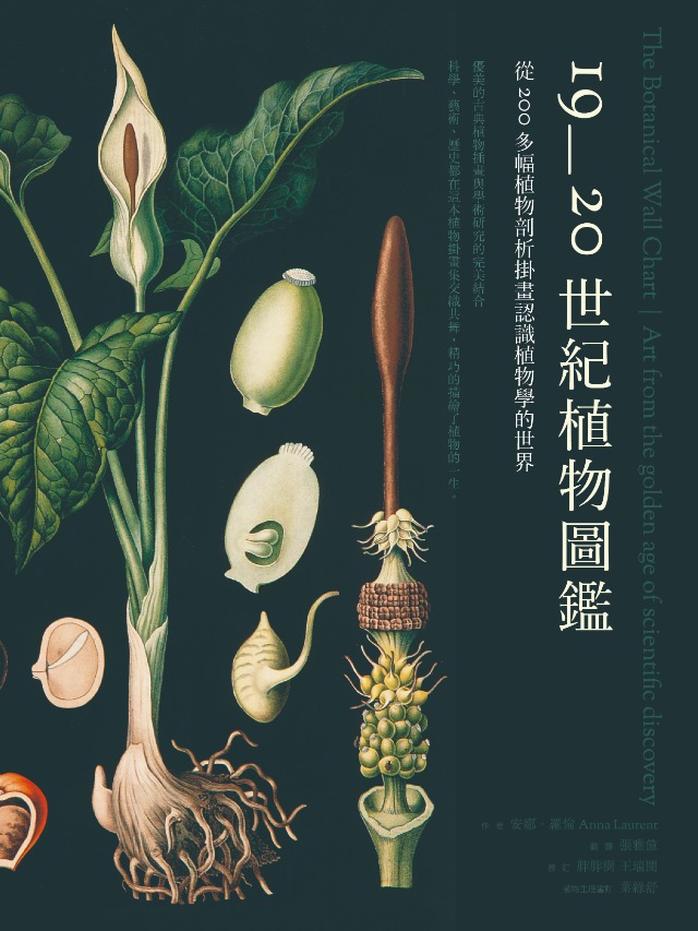 19~20世紀植物圖鑑