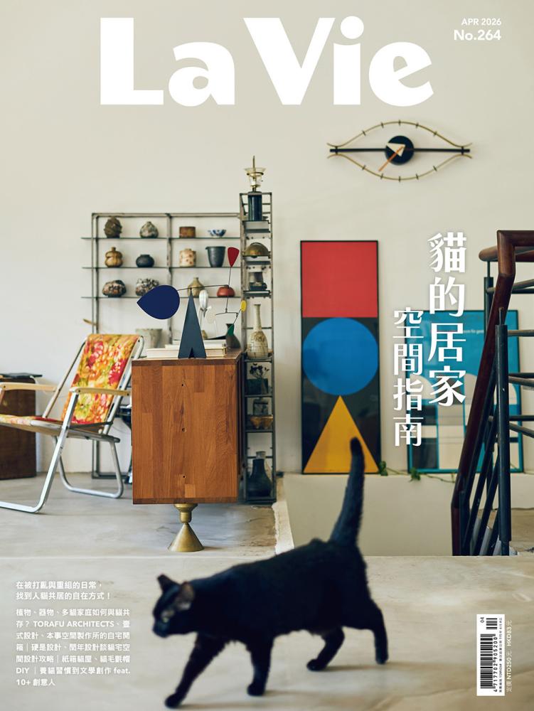 貓的居家空間指南